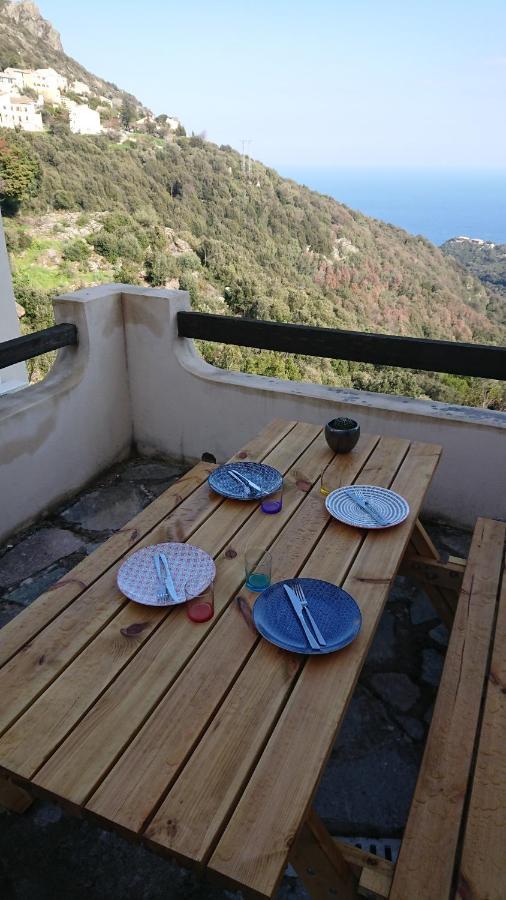 A Tana Di A Volpe Apartment Ville-di-Pietrabugno ภายนอก รูปภาพ