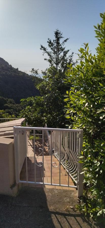 A Tana Di A Volpe Apartment Ville-di-Pietrabugno ภายนอก รูปภาพ